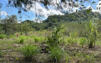 1-acre lot for sale in Agua Viva, Belize – photo 5