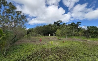 1-acre lot for sale in Agua Viva, Belize – photo 3