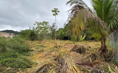 1-acre lot for sale in Agua Viva, Belize – photo 6