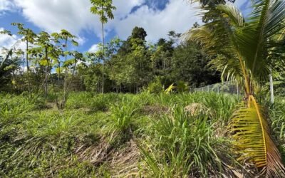 1-acre lot for sale in Agua Viva, Belize – photo 7