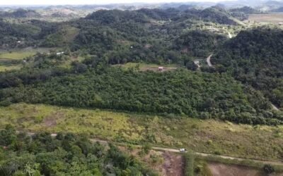 1-acre lot for sale in Agua Viva, Belize – photo 4