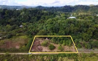 1-acre lot for sale in Agua Viva, Belize – photo 2