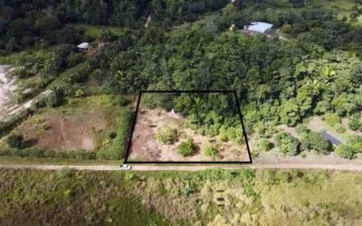 1-acre lot for sale in Agua Viva, Belize – photo 9