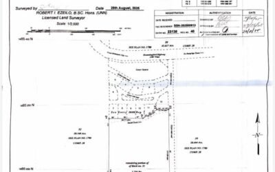 14 acres with 2 creeks, Hummingbird Highway – photo 9
