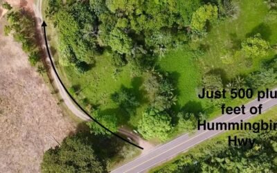 14 acres with 2 creeks, Hummingbird Highway – photo 2