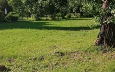 Building lot in Abaliget, Hungary – photo 3