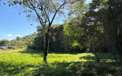 13-acre off-grid jungle lot near Roaring River, Cayo – photo 2