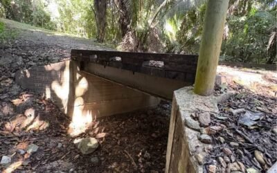 13-acre off-grid jungle lot near Roaring River, Cayo – photo 5