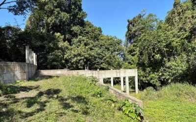 13-acre off-grid jungle lot near Roaring River, Cayo – photo 7