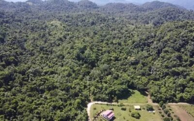 13-acre off-grid jungle lot near Roaring River, Cayo – photo 9