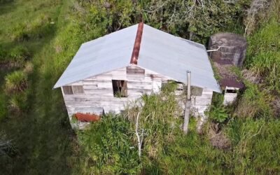 Farm with pond and cave, Upper Barton Creek – photo 2
