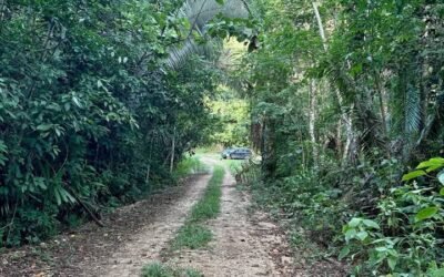 10 acres of untouched land in Agua Viva – photo 2