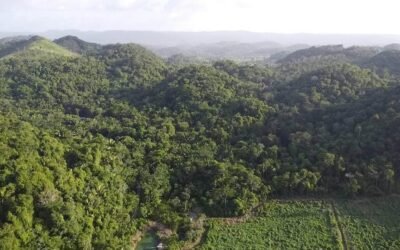 10 acres of untouched land in Agua Viva – photo 3