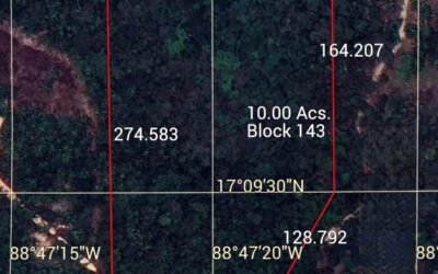10 acres of untouched land in Agua Viva – photo 5