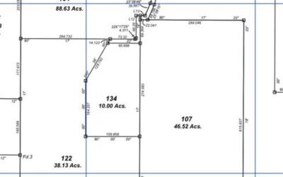 10 acres of untouched land in Agua Viva – photo 6