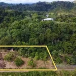 1 acre lot in Agua Viva, just a one minute drive off Hummingbird Highway. 1 acre lot in Agua Viva, just a one minute drive off Hummingbird Highway.