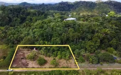1 acre lot in Agua Viva, just a one minute drive off Hummingbird Highway.