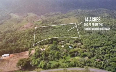 14 acres of land, 2 all season creeks, house foundation.
