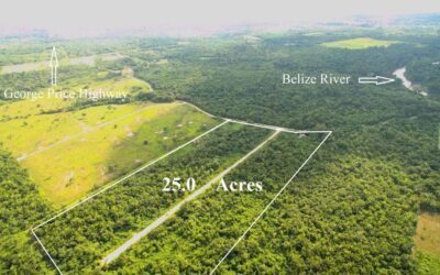 25 acres, 19 subdivided lots – Mount Pleasant, Belmopan – photo 2