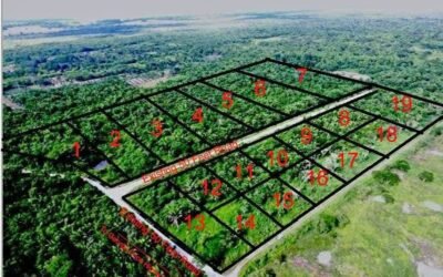 25 acres, 19 subdivided lots – Mount Pleasant, Belmopan – photo 5