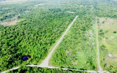 25 acres, 19 subdivided lots – Mount Pleasant, Belmopan – photo 4