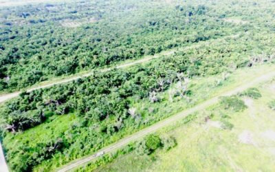 25 acres, 19 subdivided lots – Mount Pleasant, Belmopan – photo 3