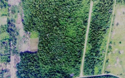 25 acres, 19 subdivided lots – Mount Pleasant, Belmopan – photo 6