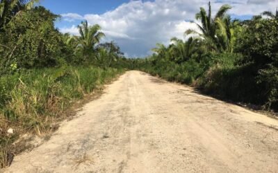 25 acres, 19 subdivided lots – Mount Pleasant, Belmopan – photo 8