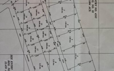 25 acres, 19 subdivided lots – Mount Pleasant, Belmopan – photo 9
