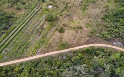 10 acres of cleared fertile land in Agua Viva – photo 4