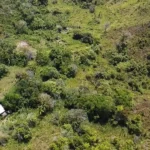 Pastures, pond & cave in Upper Barton Creek