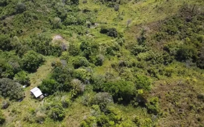 Pastures, pond & cave in Upper Barton Creek