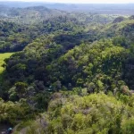 9.5 Acres of Untouched Beauty in Agua viva