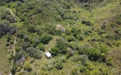 Farm with pond and cave, Upper Barton Creek – photo 7