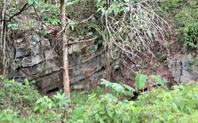 Farm with pond and cave, Upper Barton Creek – photo 11