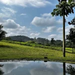 80 Acres of Land in Agua Viva, 2 miles off the Hummingbird