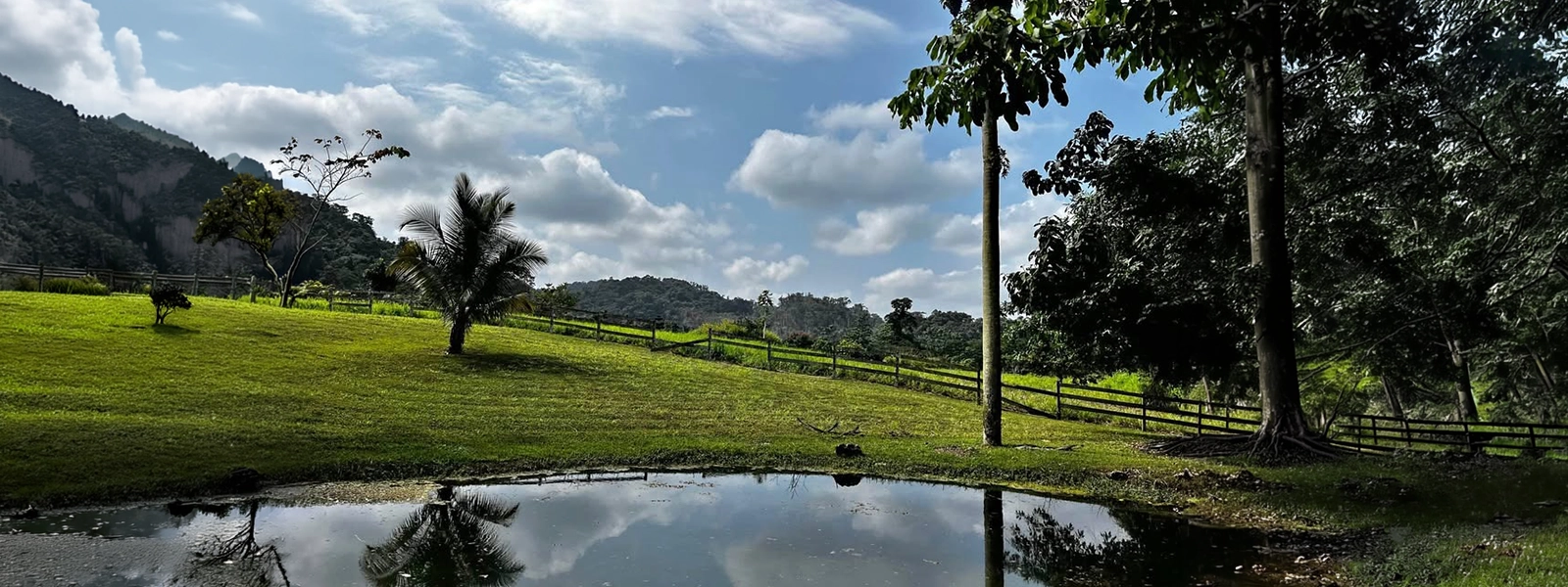 80 Acres of Land in Agua Viva, 2 miles off the Hummingbird