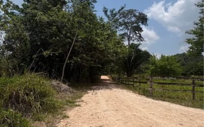 80 acres of land in Agua Viva, Belize – photo 7