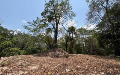 80 acres of land in Agua Viva, Belize – photo 5