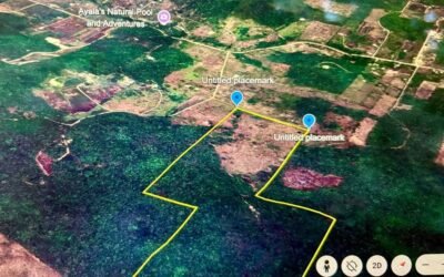 80 acres of land in Agua Viva, Belize – photo 4