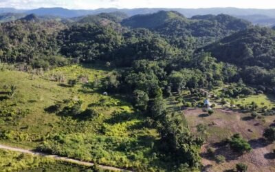 80 acres of land in Agua Viva, Belize – photo 3