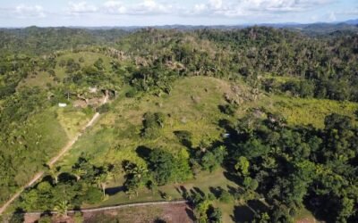 80 acres of land in Agua Viva, Belize – photo 2
