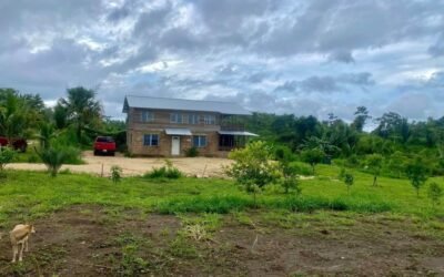 9.37-acre homestead farm with house and workshop, Agua Viva – photo 6