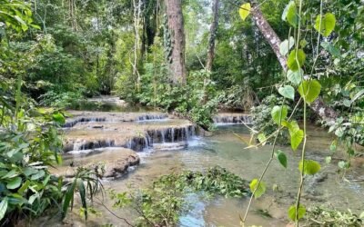 9.37-acre homestead farm with house and workshop, Agua Viva – photo 10