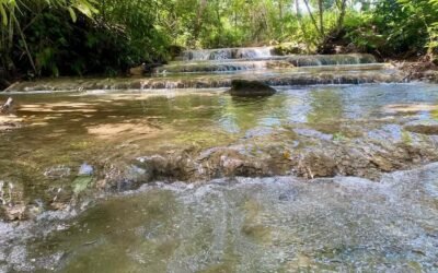 9.37-acre homestead farm with house and workshop, Agua Viva – photo 9
