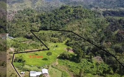 9.37-acre homestead farm with house and workshop, Agua Viva – photo 3