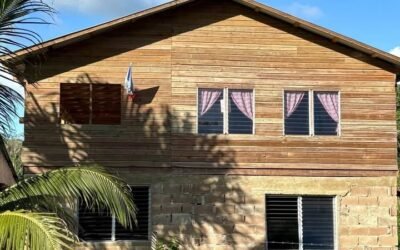 9.37-acre homestead farm with house and workshop, Agua Viva – photo 4