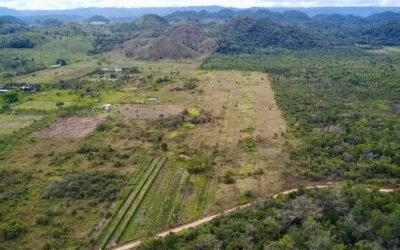 10 acres of cleared fertile land in Agua Viva – photo 2