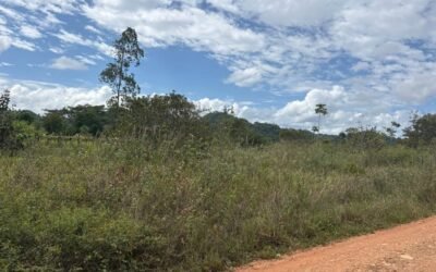 10 acres of cleared fertile land in Agua Viva – photo 6