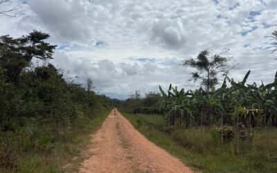 10 acres of cleared fertile land in Agua Viva – photo 7
